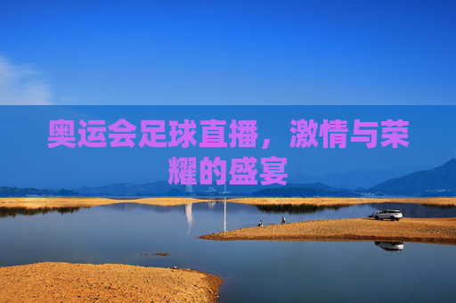 奥运会足球直播，激情与荣耀的盛宴