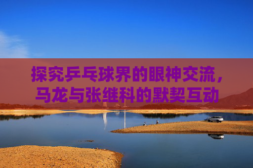 探究乒乓球界的眼神交流，马龙与张继科的默契互动