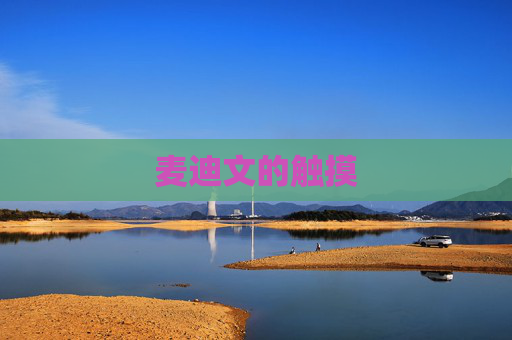 麦迪文的触摸