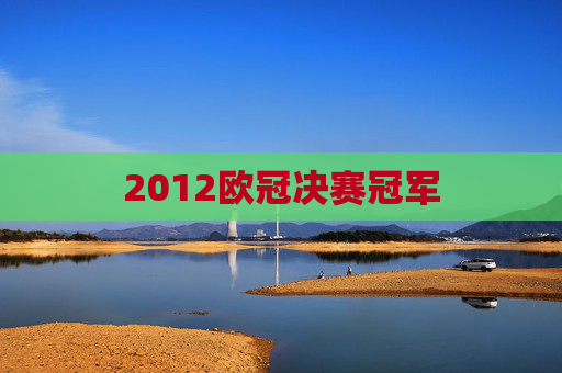2012欧冠决赛冠军