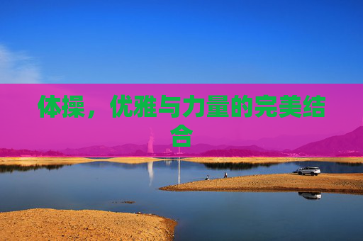 体操，优雅与力量的完美结合