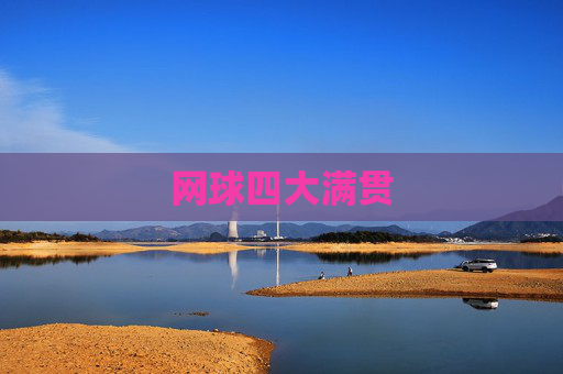 网球四大满贯