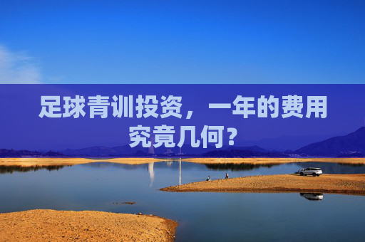 足球青训投资，一年的费用究竟几何？