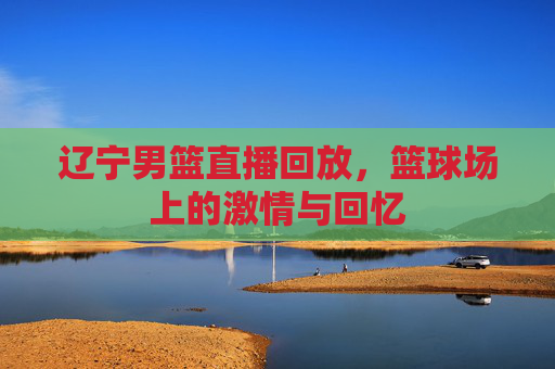 辽宁男篮直播回放，篮球场上的激情与回忆