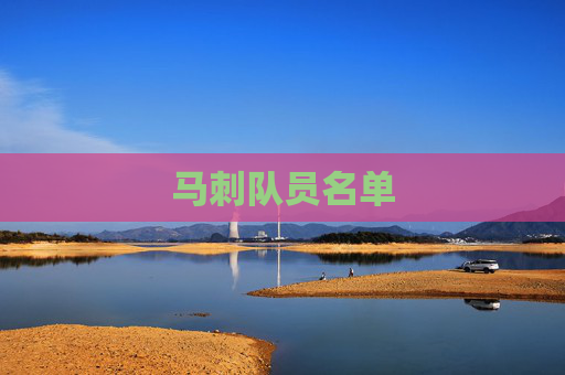 马刺队员名单