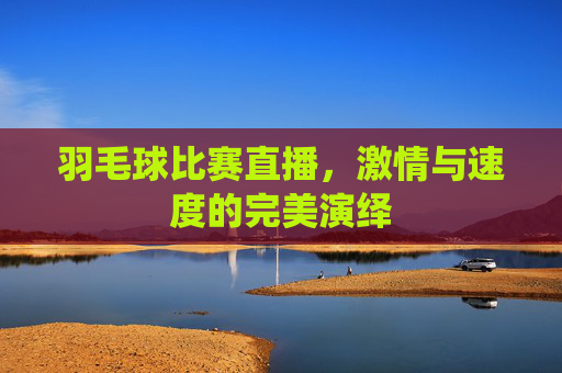 羽毛球比赛直播，激情与速度的完美演绎
