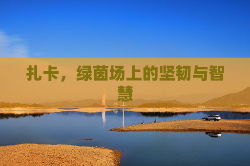 扎卡，绿茵场上的坚韧与智慧