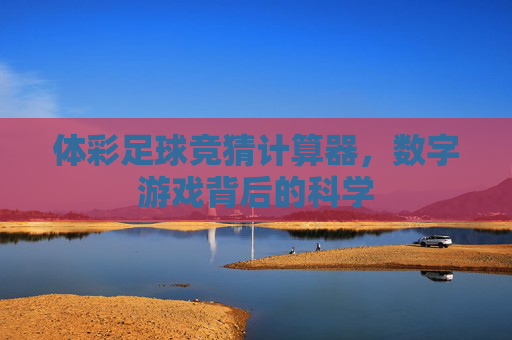 体彩足球竞猜计算器，数字游戏背后的科学