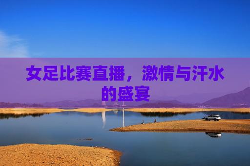 女足比赛直播,激情与汗水的盛宴 女足比赛直播,激情与汗水的盛宴