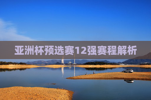 亚洲杯预选赛12强赛程解析