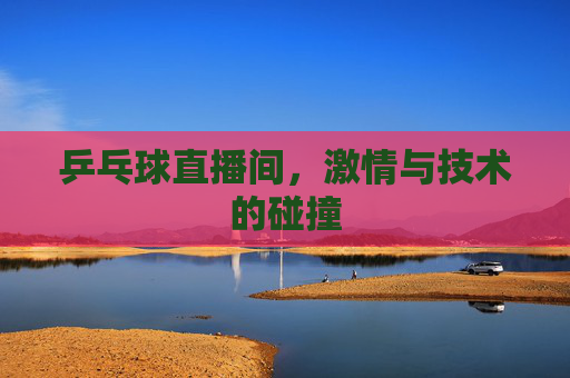 乒乓球直播间，激情与技术的碰撞