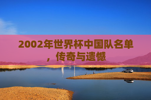 2002年世界杯中国队名单，传奇与遗憾
