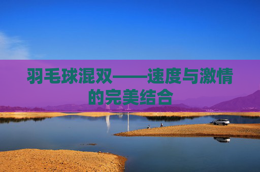 羽毛球混双——速度与激情的完美结合