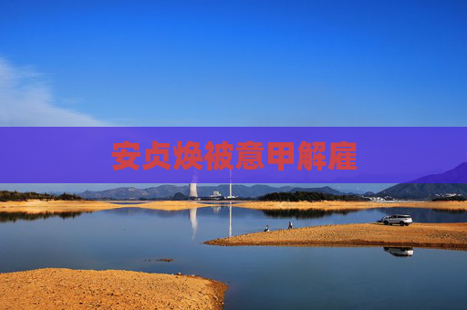 安贞焕被意甲解雇