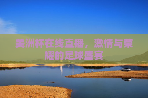 美洲杯在线直播，激情与荣耀的足球盛宴