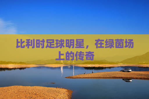 比利时足球明星，在绿茵场上的传奇