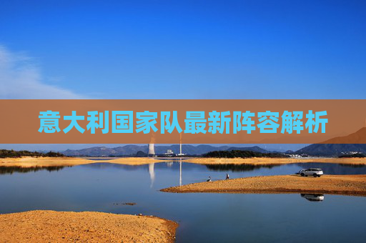 意大利国家队最新阵容解析