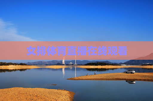 女排体育直播在线观看