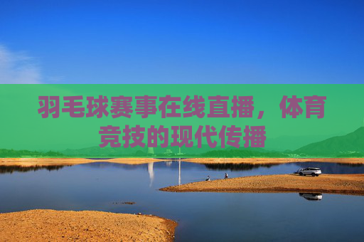 羽毛球赛事在线直播，体育竞技的现代传播