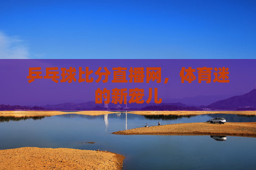 乒乓球比分直播网，体育迷的新宠儿