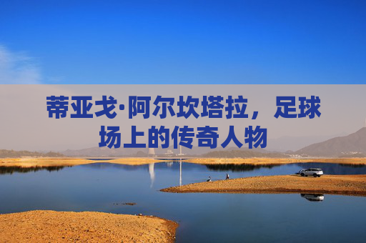 蒂亚戈·阿尔坎塔拉，足球场上的传奇人物