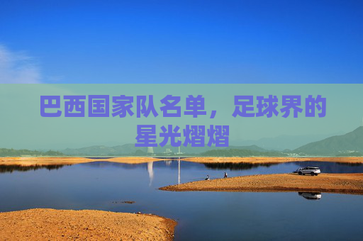 巴西国家队名单，足球界的星光熠熠
