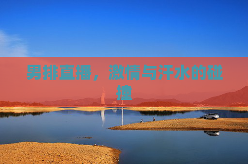 男排直播，激情与汗水的碰撞