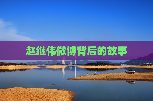 赵继伟微博背后的故事