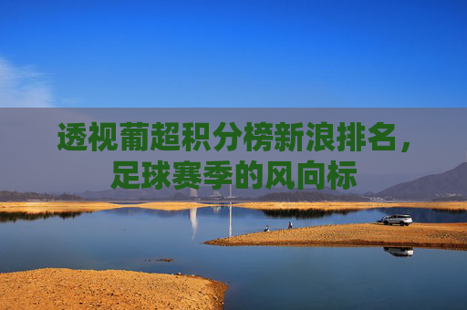 透视葡超积分榜新浪排名，足球赛季的风向标