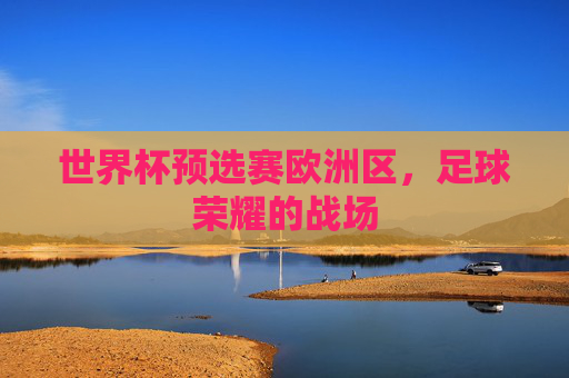 世界杯预选赛欧洲区，足球荣耀的战场