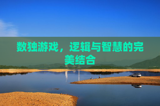 数独游戏,逻辑与智慧的完美结合 数独游戏,逻辑与智慧的完美结合