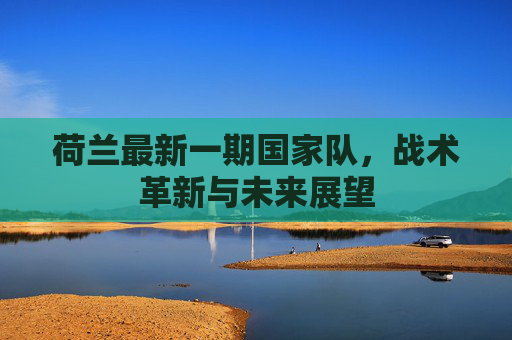 荷兰最新一期国家队，战术革新与未来展望