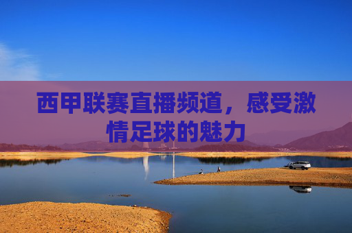 西甲联赛直播频道，感受激情足球的魅力