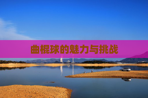 曲棍球的魅力与挑战