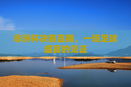 非洲杯决赛直播，一场足球盛宴的见证