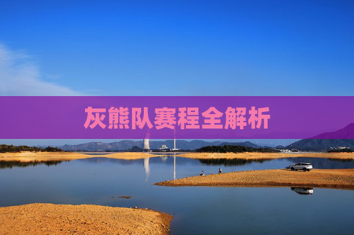 灰熊队赛程全解析