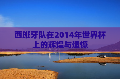 西班牙队在2014年世界杯上的辉煌与遗憾