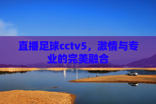 直播足球cctv5，激情与专业的完美融合