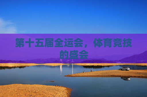 第十五届全运会,体育竞技的盛会 第十五届全运会,体育竞技的盛会