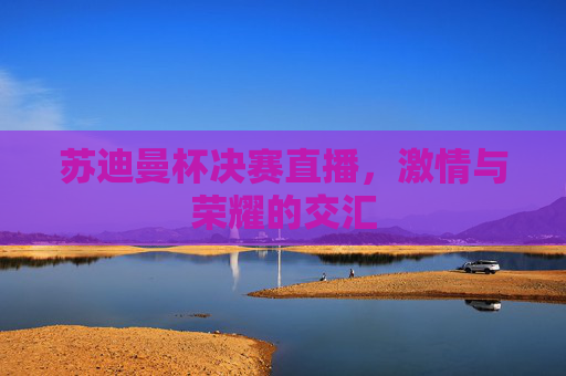 苏迪曼杯决赛直播,激情与荣耀的交汇 苏迪曼杯决赛直播,激情与荣耀的交汇