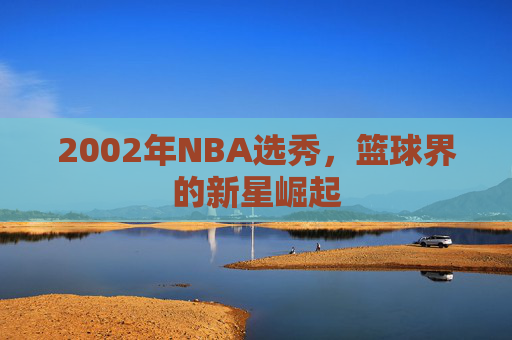 2002年NBA选秀，篮球界的新星崛起