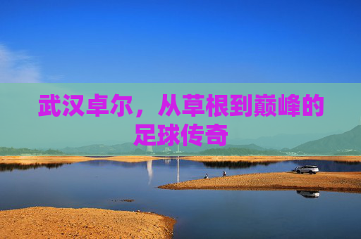 武汉卓尔，从草根到巅峰的足球传奇