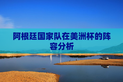 阿根廷国家队在美洲杯的阵容分析