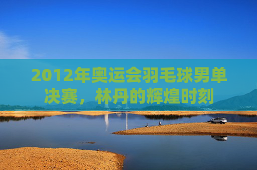 2012年奥运会羽毛球男单决赛，林丹的辉煌时刻