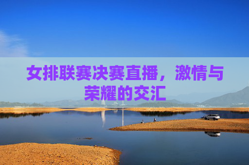 女排联赛决赛直播，激情与荣耀的交汇