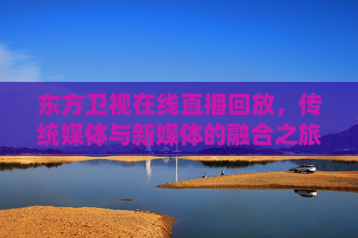 东方卫视在线直播回放，传统媒体与新媒体的融合之旅