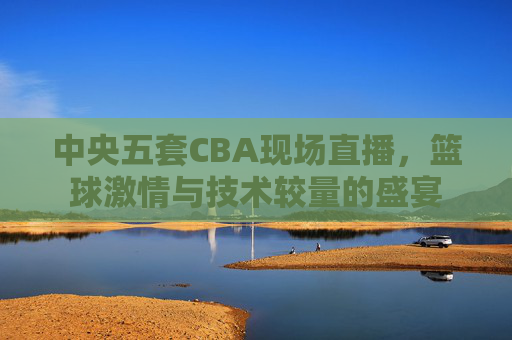 中央五套CBA现场直播，篮球激情与技术较量的盛宴