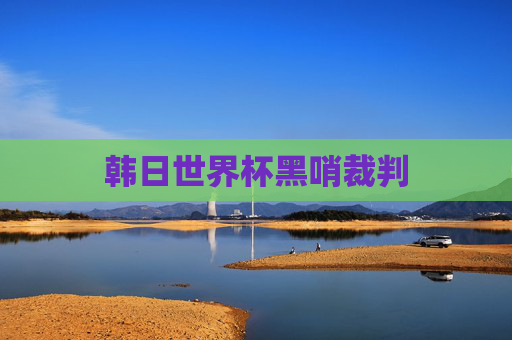 韩日世界杯黑哨裁判 韩日世界杯黑哨裁判