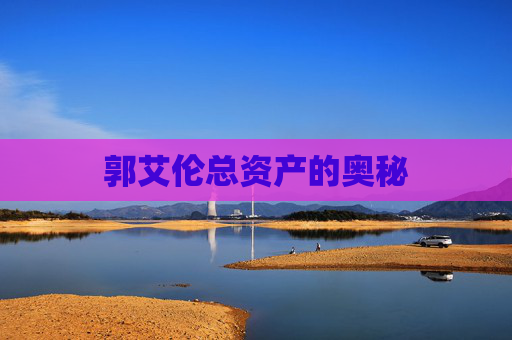 郭艾伦总资产的奥秘