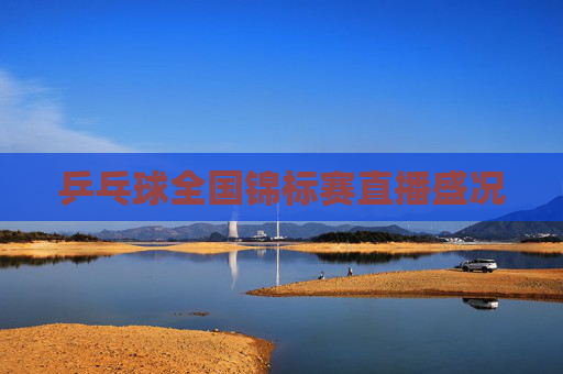 乒乓球全国锦标赛直播盛况